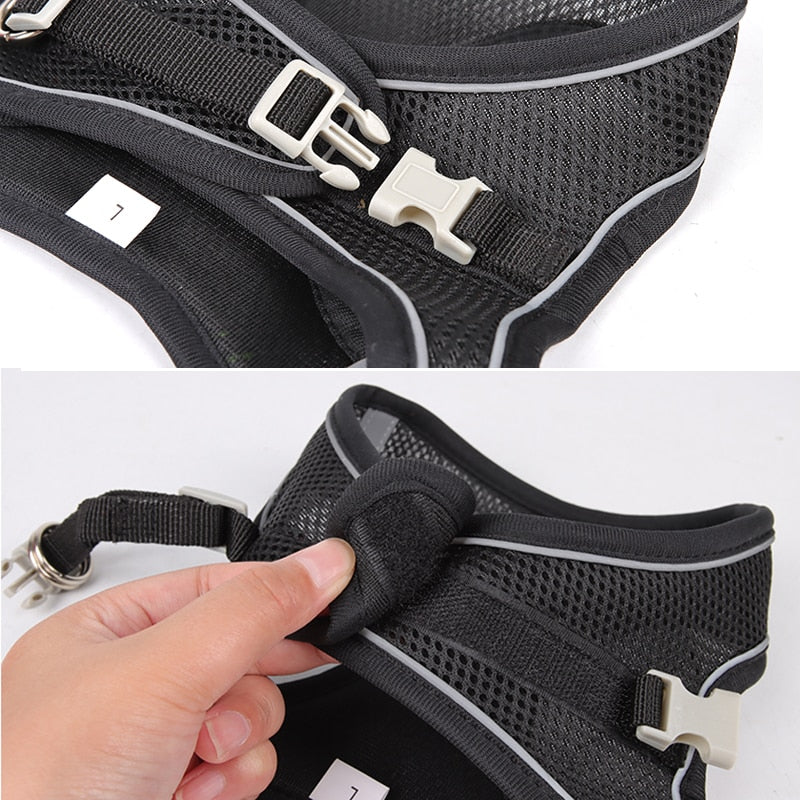 Adjustable Dog Harness & Leash Set for Small Dogs