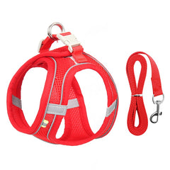 Adjustable Dog Harness & Leash Set for Small Dogs