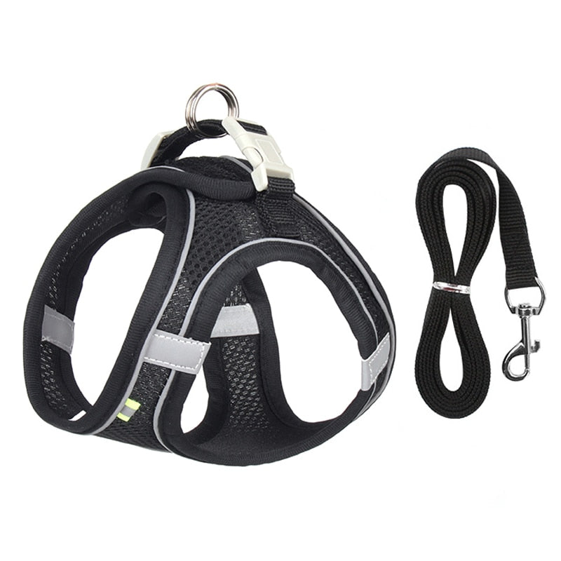 Adjustable Dog Harness & Leash Set for Small Dogs