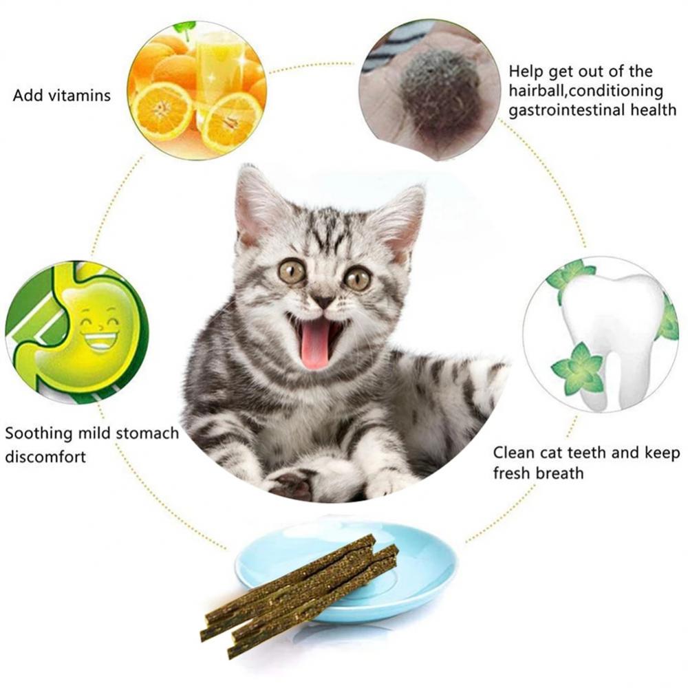 Cat Mint Stick Chews toy, All Natural Catnip Sticks Teeth Cleaning/Grinding